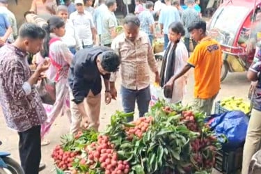 খাগড়াছড়িতে লিচুর বাম্পার ফলন