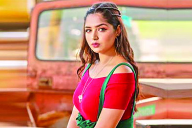 বৃদ্ধা হিমি