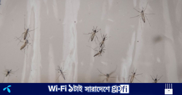 cluster (priority): bd-pratidin.com Controverses et risques : ce que les sceptiques avancent