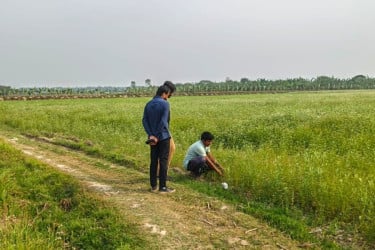 জলবায়ু ঝুঁকি মোকাবিলায় কৃষিতে কার্যকর বিকল্প ভার্মি কম্পোস্ট