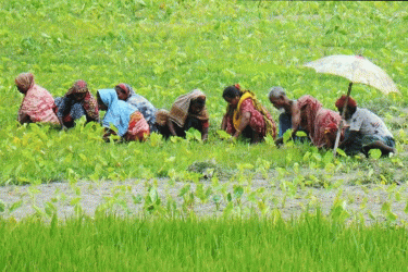 তাপপ্রবাহে অতিষ্ঠ উত্তরাঞ্চলের জনজীবন, বিপাকে কৃষিশ্রমিকরা