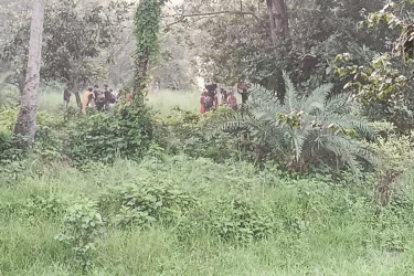 চাঁপাইনবাবগঞ্জ সীমান্তে ২৮ জনকে পুশ-ইনের চেষ্টা, তবে...