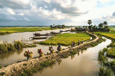 বাজেটে হাওরাঞ্চলের জন্য ৫০ হাজার কোটি টাকা বরাদ্দের দাবি
