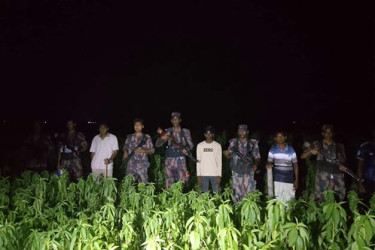 সীমান্তে পুশইনের একাধিক চেষ্টা ব্যর্থ, বিজিবির সঙ্গে পাহারায় গ্রামবাসী