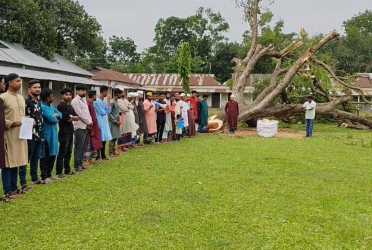 ভালুকায় অর্ধশতবর্ষী কড়ই গাছ কাটার প্রতিবাদে মানববন্ধন