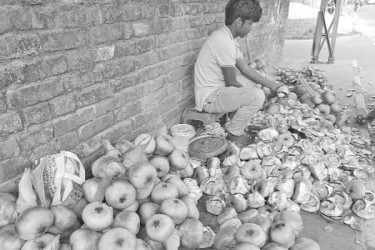 গরমে বেড়েছে তালশাঁসের কদর