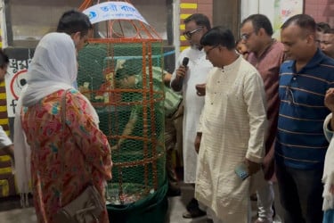 বিশ্ব পরিবেশ দিবসে ব্রাহ্মণবাড়িয়ায় ব্যতিক্রমী উদ্যোগ