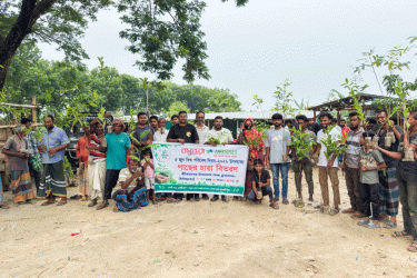 জীবননগরে বসুন্ধরা শুভসংঘের চারা বিতরণ