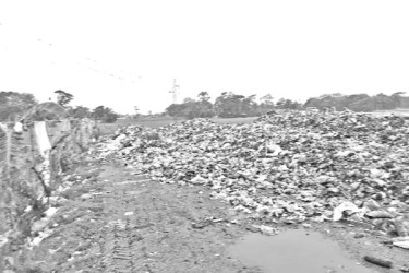 বর্জ্যরে দুর্গন্ধে অতিষ্ঠ জীবন