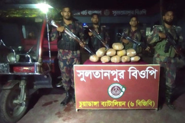 চুয়াডাঙ্গা সীমান্তে বিজিবির অভিযান, বিপুল পরিমাণ মাদক আটক