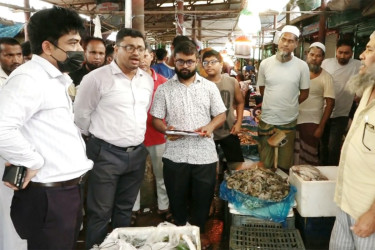নোয়াখালীতে ১৪২ কেজি জেলিযুক্ত চিংড়ি জব্দ, ২ ব্যবসায়ীকে জরিমানা