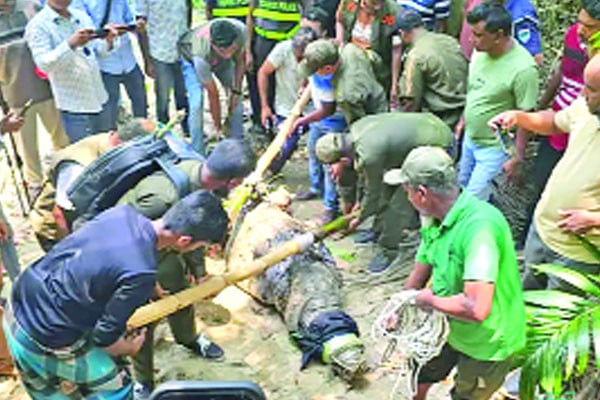 খানজাহান আলী দীঘির কুমির ফিরিয়ে দেওয়ার দাবি