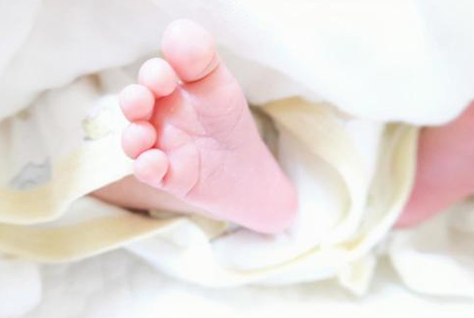 কেরানীগঞ্জে মাঠ থেকে নবজাতকের মরদেহ উদ্ধার