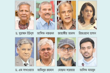সেই উপদেষ্টারা কে কোথায়