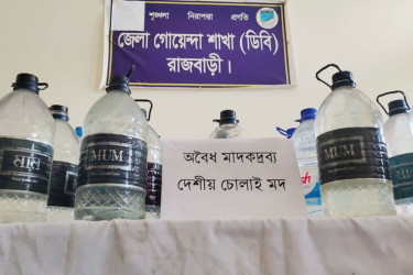 দৌলতদিয়া যৌনপল্লীতে অভিযান, ১০০ লিটার চোরাই মদ উদ্ধার