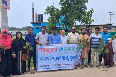 সুনামগঞ্জে বসুন্ধরা শুভসংঘের বৃক্ষরোপণ কর্মসূচি