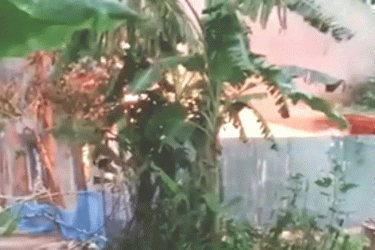 পাবনায় রিয়া ধর্ষণ-হত্যা: ক্ষোভে অগ্নিসংযোগ, দগ্ধ আরও দুজনের মৃত্যু