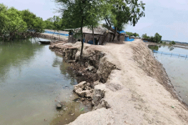 ভাঙনের দ্বারপ্রান্তে পদ্মপুকুরের বেড়িবাঁধ, ফের আতঙ্কে বাসিন্দারা