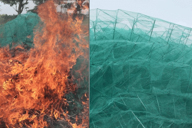 কেরানীগঞ্জে ৫ লাখ টাকার চায়না দুয়ারি জাল ধ্বংস