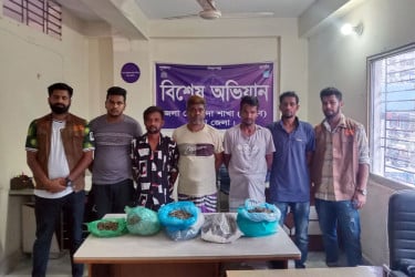 ডিবির পুলিশের অভিযানে গাঁজাসহ ৫ মাদক কারবারি গ্রেফতার