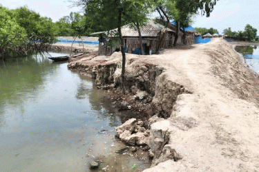 ভাঙনের দ্বারপ্রান্তে পদ্মপুকুরের বেড়িবাঁধ, ফের আতঙ্কে বাসিন্দারা