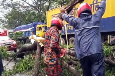কালবৈশাখী ঝড়ে গাছ উপড়ে যান চলাচল ব্যাহত