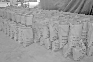 ২২০ টন আমন বীজে পোকা