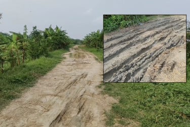মাদারীপুর-গোপালগঞ্জ সংযোগ সড়কের বেহাল দশা, দুর্ভোগে হাজারো মানুষ