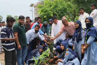বিশ্ব পরিবেশ দিবসে লাকসামে নানা কর্মসূচি