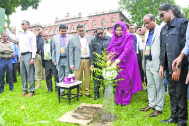 বৃক্ষরোপণ কর্মসূচির উদ্বোধন করলেন ডা. জুবাইদা