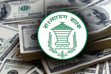 বাজেটের আগে রিজার্ভ কমলো