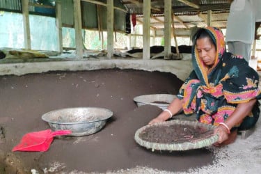 ফটিকছড়িতে ‘কেঁচো গ্রাম’: ভার্মি কম্পোস্টে বদলে যাচ্ছে নারীদের জীবন