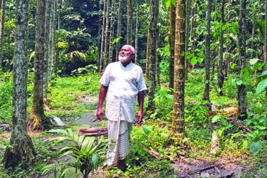 সুপারিতে কোটি টাকা আয়