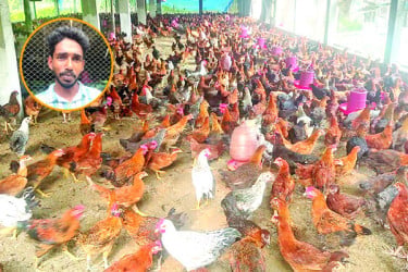 প্রযুক্তিনির্ভর পোলট্রি খামারে স্বপ্নপূরণ