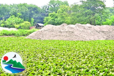 অস্তিত্বসংকটে কুষ্টিয়ার নদনদী