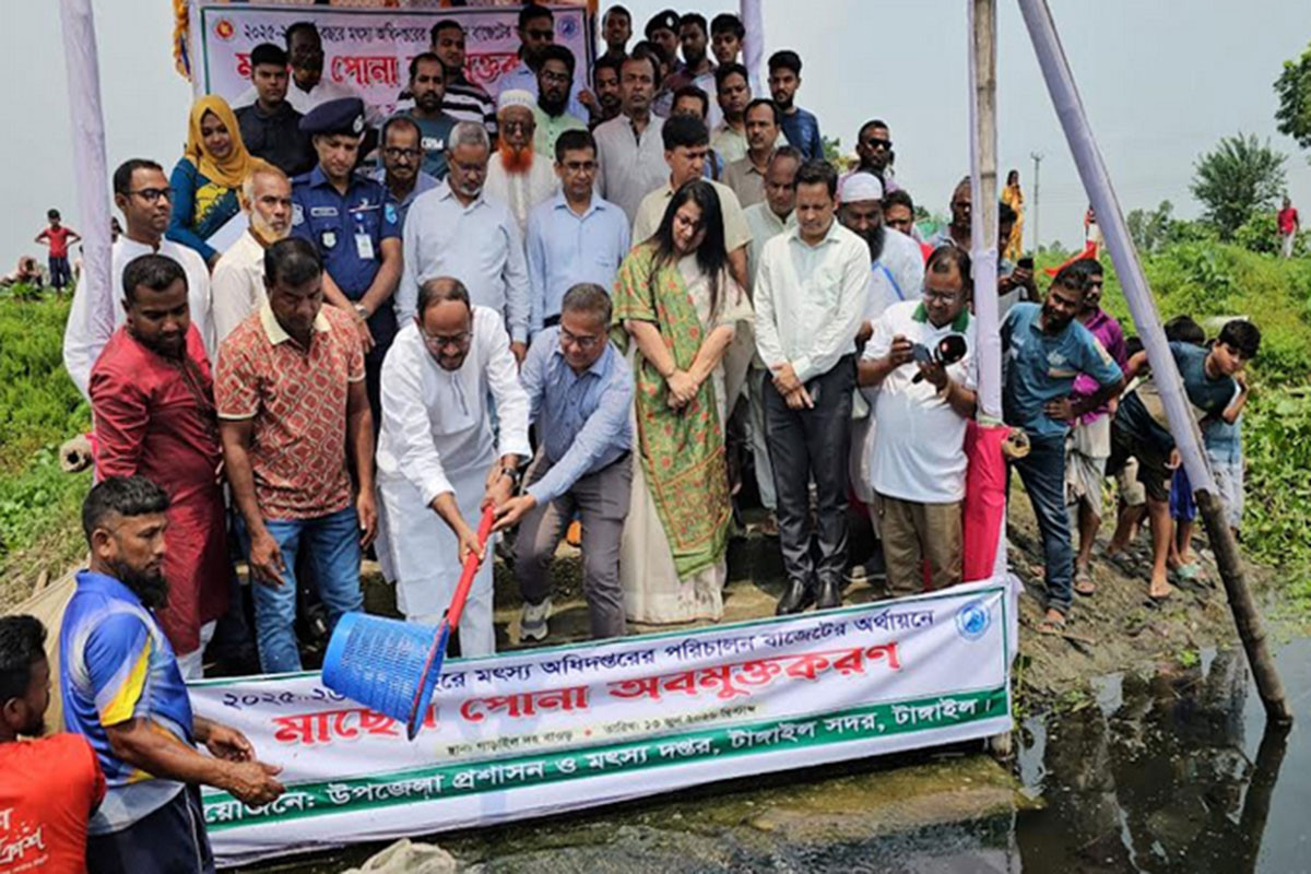 দেশীয় প্রজাতির মাছ টিকিয়ে রাখতে নানা কর্মসূচি গ্রহণ করা হয়েছে: মৎস্য প্রতিমন্ত্রী