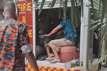 পতাকা টানাতে গিয়ে গাছেই জ্ঞান হারালেন যুবক