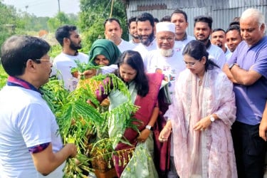 শেরপু‌রে অনাড়ম্বর পরিবেশে বৃক্ষরোপণ কর্মসূচির উদ্বোধন