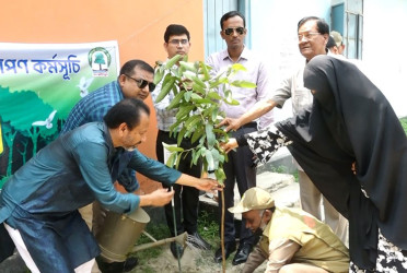 সিরাজগঞ্জে বৃক্ষরোপণ কর্মসূচির উদ্বোধন