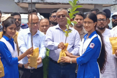 নেত্রকোনায় বৃক্ষরোপণ শুরু, লক্ষ্যমাত্রা পৌনে ৮ লাখ গাছ