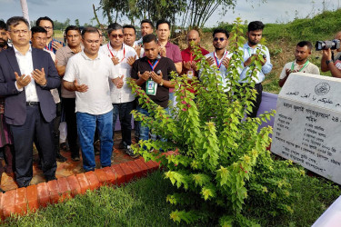 শহীদ ওয়াসিমের কবর জিয়ারত করলেন প্রধানমন্ত্রী