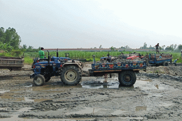 সাঘাটায় অবৈধ বালু উত্তোলনে ঝুঁকিতে দুই সেতু
