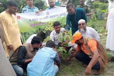 কুয়াকাটায় বৃক্ষরোপণ কর্মসূচির উদ্বোধন