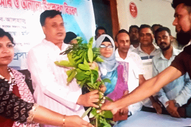 কাহালুতে পেঁয়াজ বীজ-সার-গাছের চারা বিতরণ