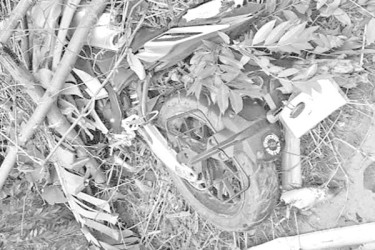 মোটরসাইকেল শোভাযাত্রায় ব্রাজিল সমর্থকের মৃত্যু
