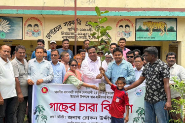 কালীগঞ্জে বৃক্ষরোপণ কর্মসূচি উদ্বোধন করলেন সংসদ সদস্য রোকন উদ্দিন
