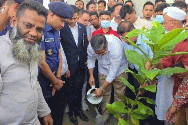 মহাসড়কের পাশের ময়লা অপসারণ করে বৃক্ষরোপণ করলেন স্থানীয় সরকার প্রতিমন্ত্রী