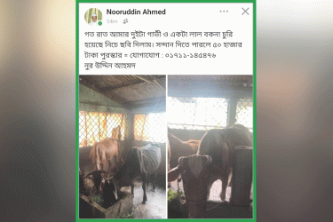 বিশ্বনাথে বিএনপি নেতার তিনটি গরু চুরি, উদ্ধারে পুরস্কার ঘোষণা