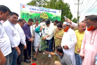 গাজীপুরকে ‘ক্লিন ও গ্রিন’ নগরী গড়তে বৃক্ষরোপণ কর্মসূচির উদ্বোধন