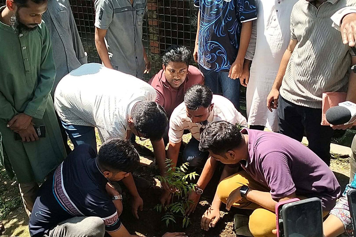 বাজেটকে স্বাগত জানিয়ে ঢাবি ছাত্রদলের বৃক্ষরোপণ কর্মসূচি